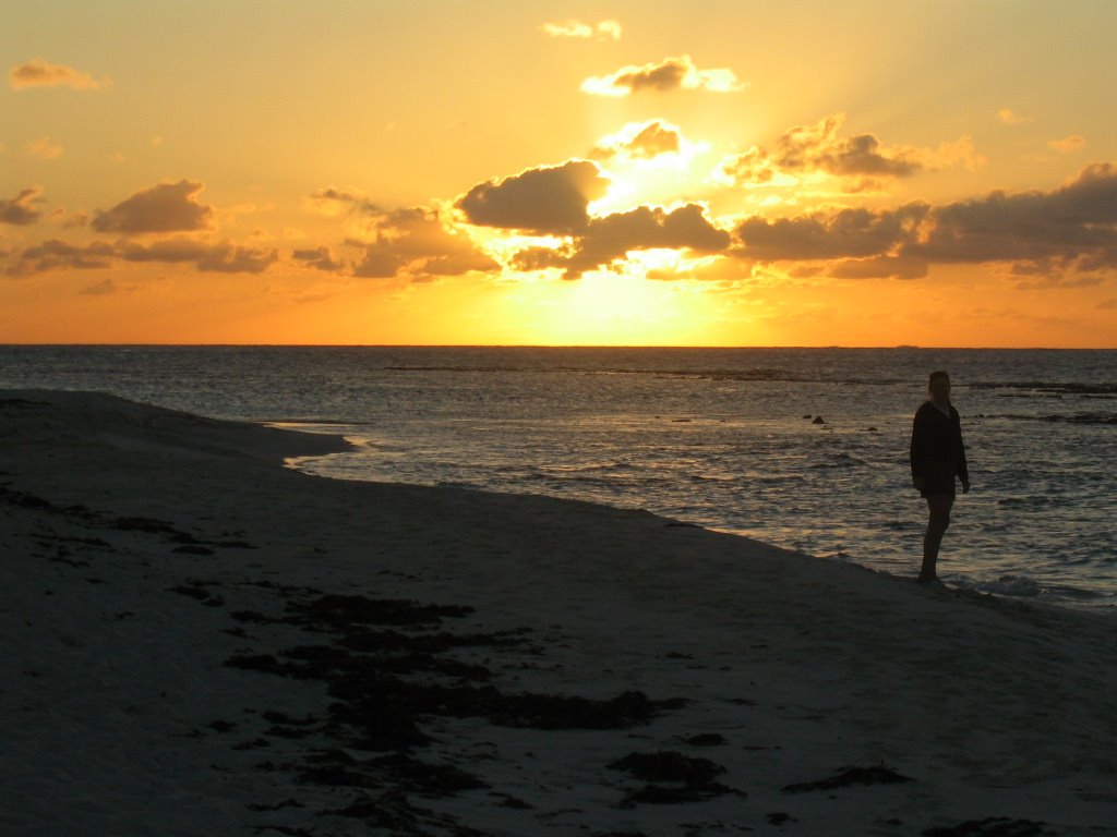 East Shoal Bay Sunset by joelryanmiller