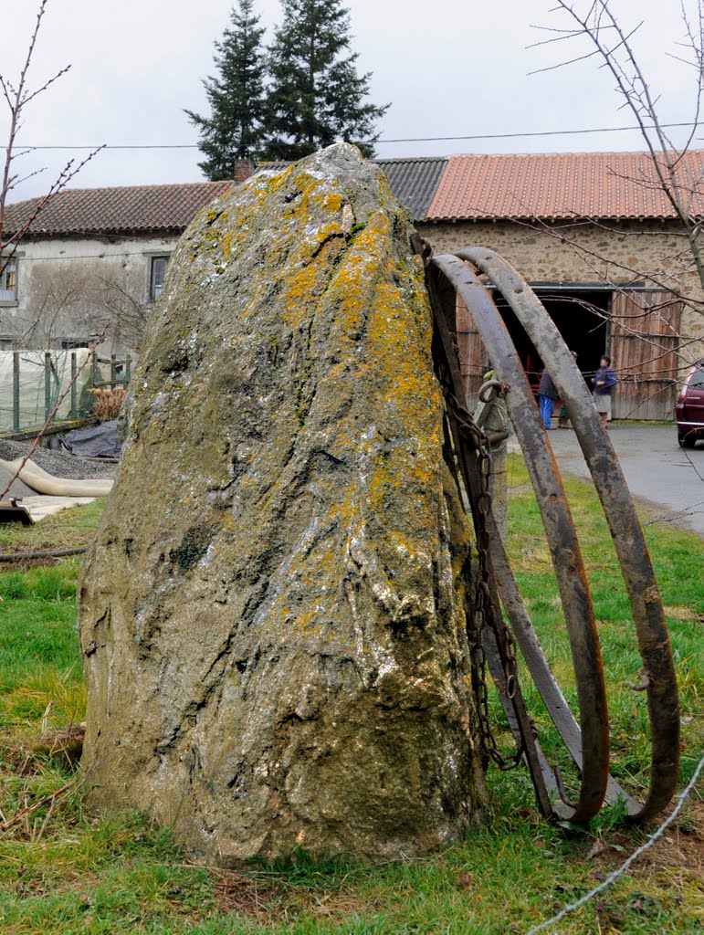 Menhir (?) au lieu dit "La Peyrade" commune de Saint Laurent sur Gorre, Haute Vienne by jl capdeville