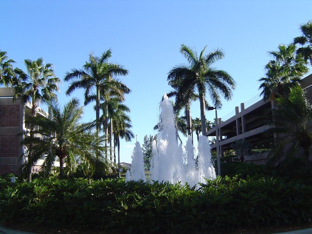 Beautiful Fountain & Palm Trees by John M Lopez