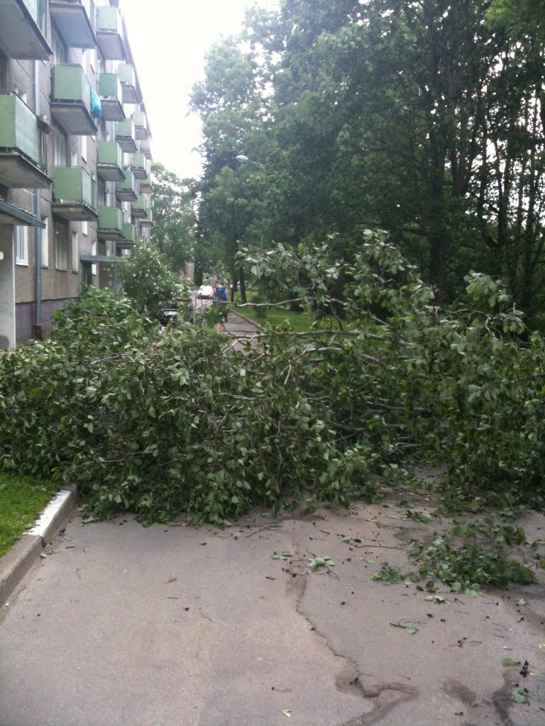 Windy Latvian summer... by VladReutov