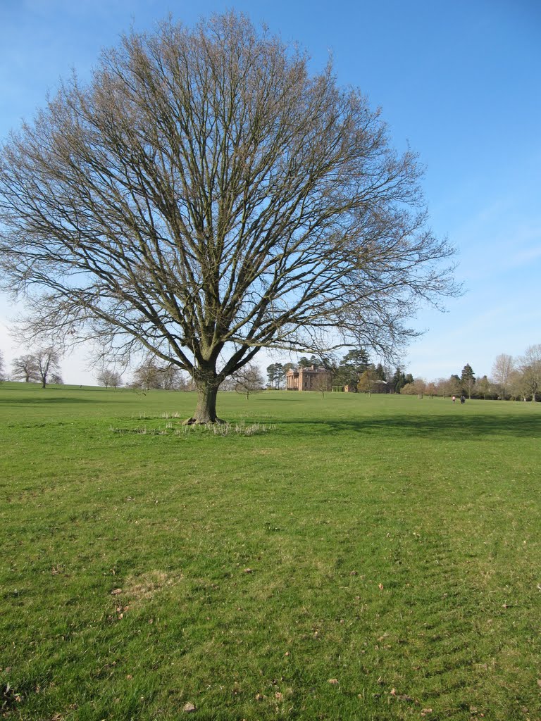 View towards main house, Berrington Hall by oldchippy