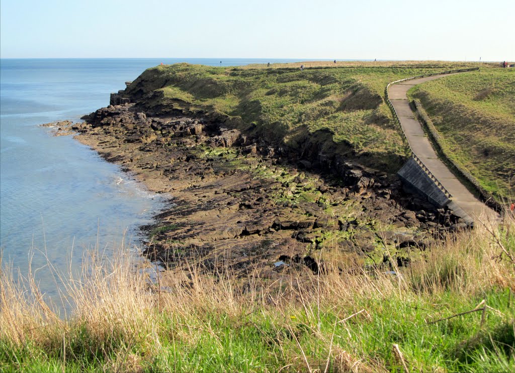 Seaton Sluice by Calroy