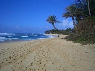 Sunset Beach, O'ahu by brpyner