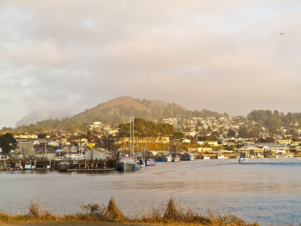 Morro Bay, California by George Bonnin