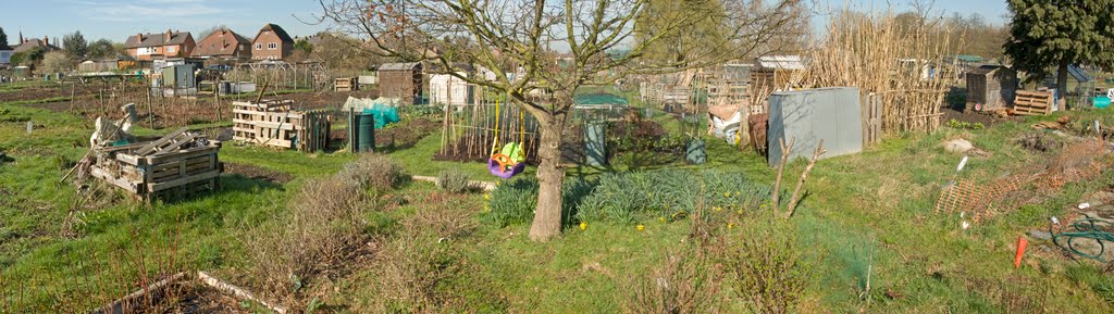 Northcroft Road Allotments Central Panorama by Scottalanlewis