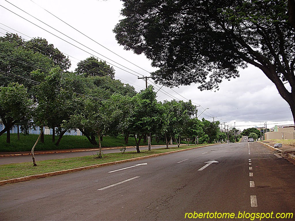 AVENIDA HENRIQUE MANSANO - JARDIM DOS ALPES - FOTO 7 - LONDRINA by ROBERTO TOMÉ 2