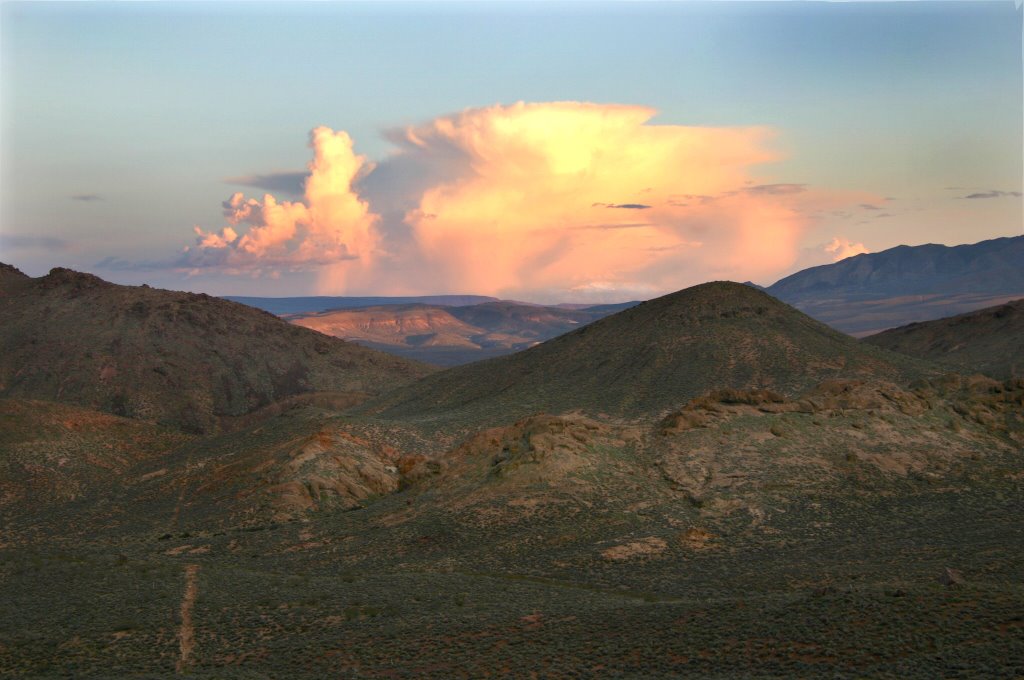 Beatty, Nevada by Curtiss Photography