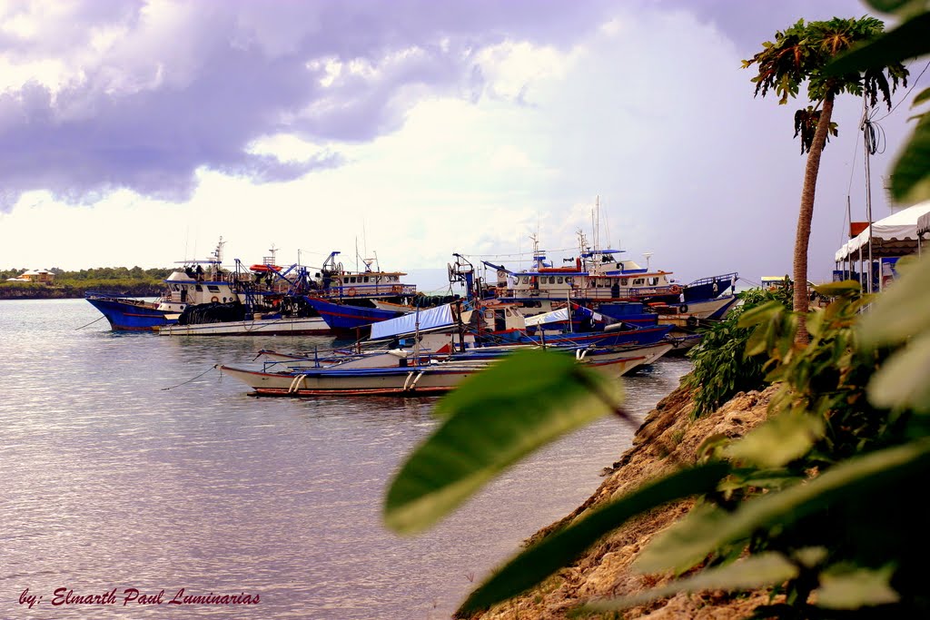 Fish Port (Tagbilaran City) by ELMARTH