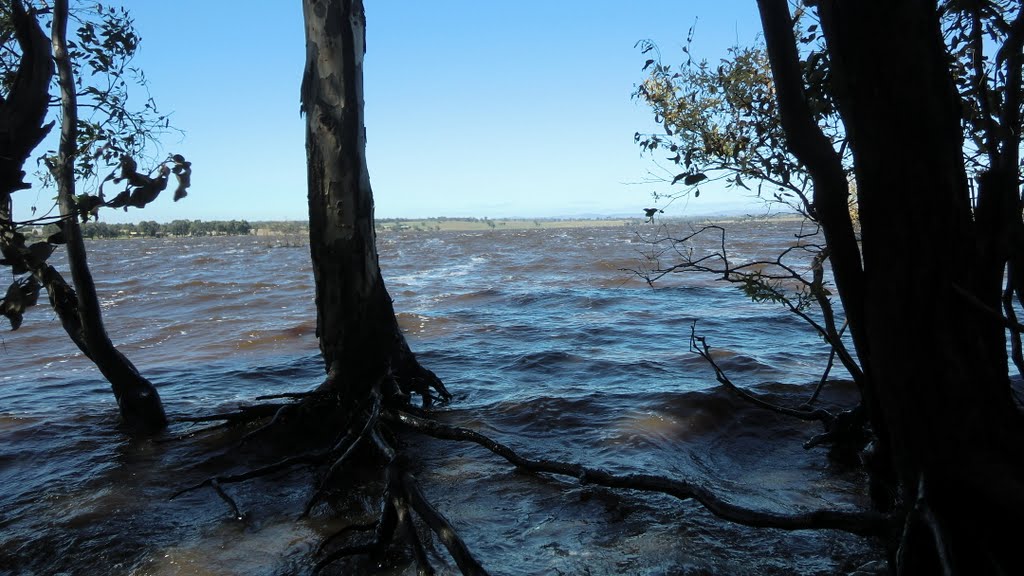 Lake Eppalock after 10 years of drought by Argy Bee