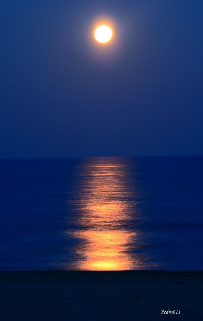 Luna LLena 19-03-2011(Full Moon) by pedro-photography