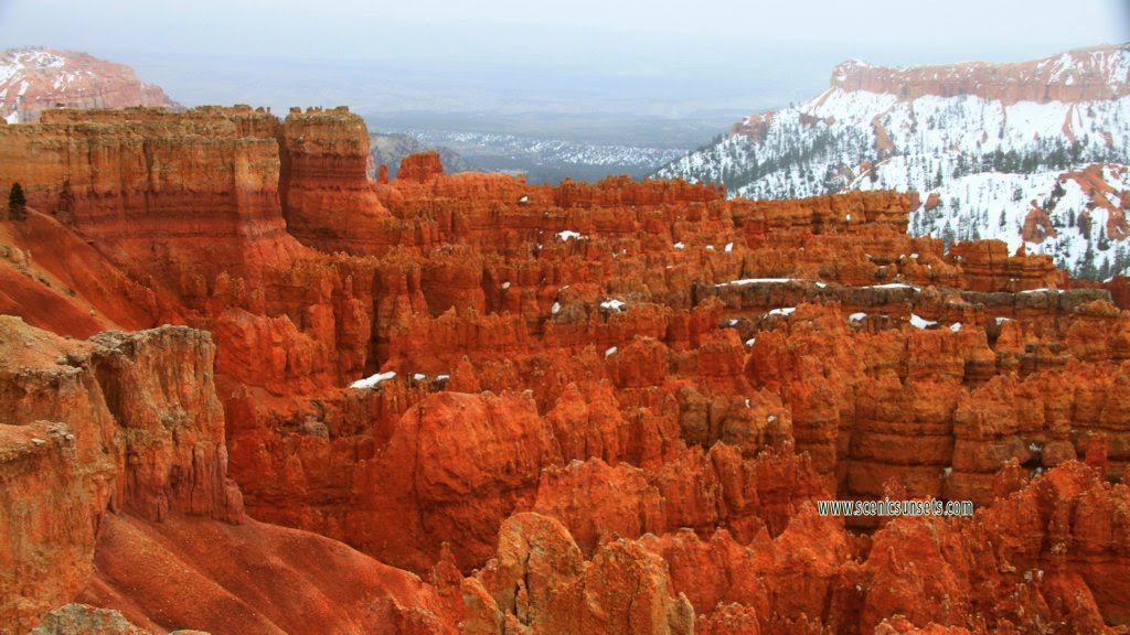 Bryce Canyon Hoodoos by SCOTT CAMERON