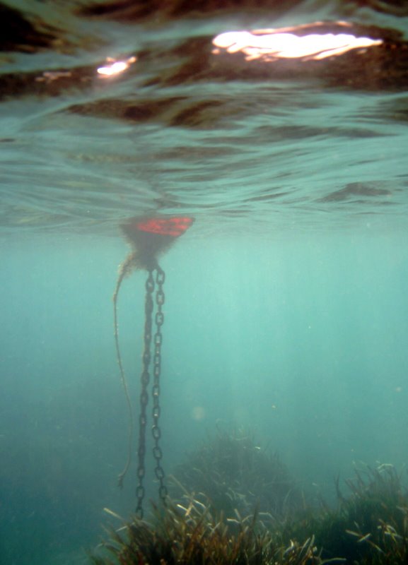 Buoy by Pete Hill