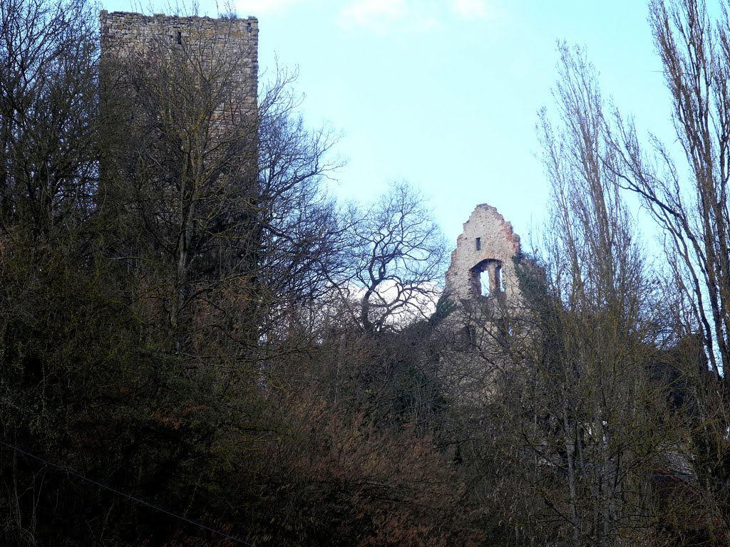 Burgruine Ehrenberg by Kiotto