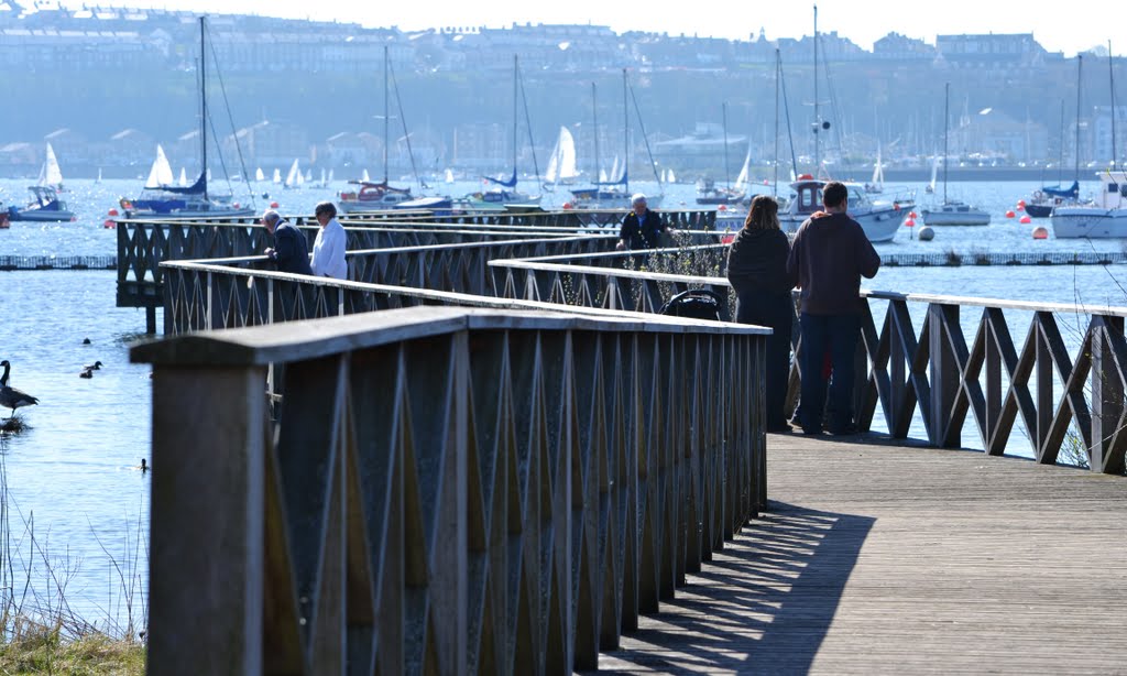 Zig zag pier by fat-freddies-cat