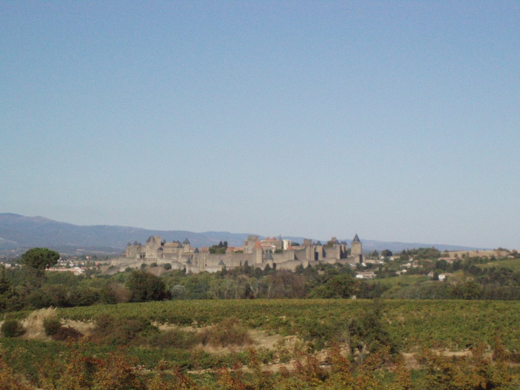 Carcassonne by Jon Alastra