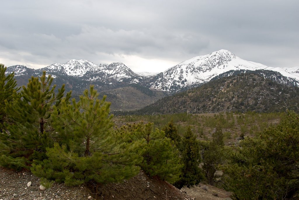 Mountains near Dirmil pass by Alexander Naumov