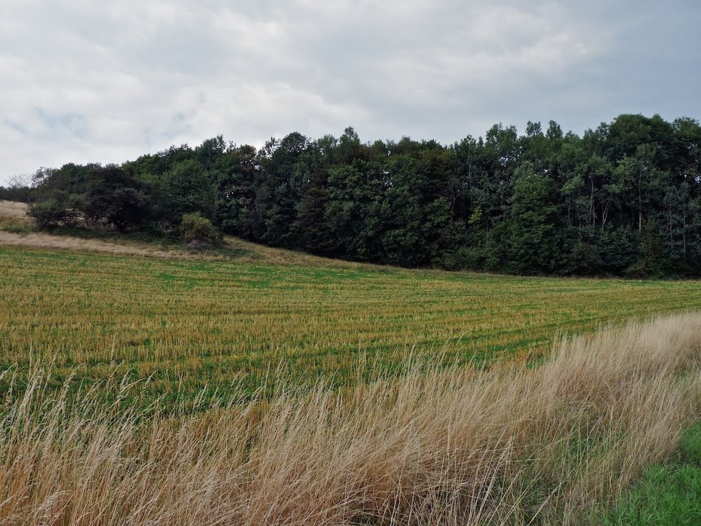 Der Haigerer Kratzenberg by SebSchneider