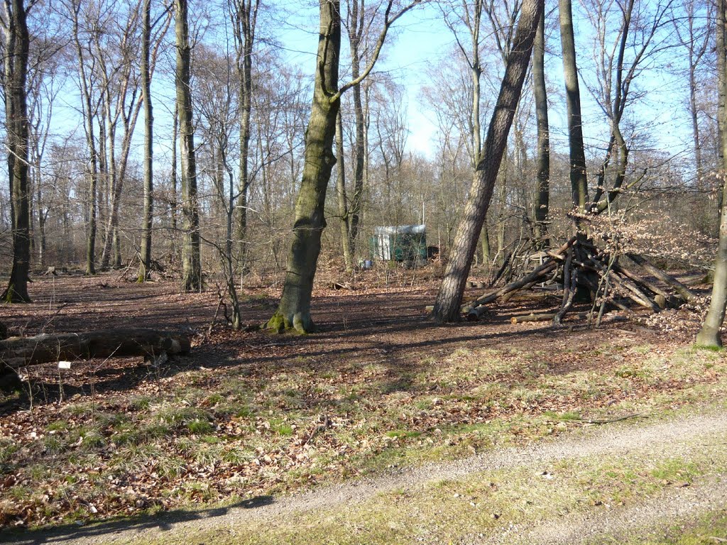 Waldkindergarten im Stadtwald Rheinstetten by mrtn-ka