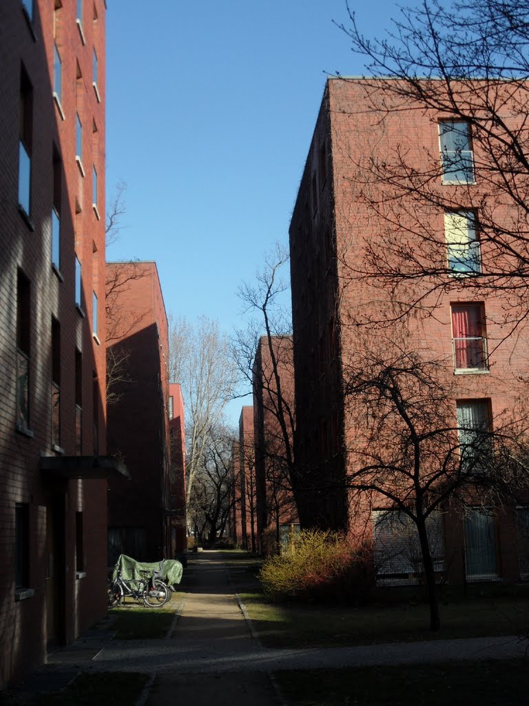 M Dreieck Pulvermühlenweg - Romy-Schneider-Straße - Olga-Tschechowa-Straße - Blick nach Osten Richtung Goldbeckweg by IngolfBLN