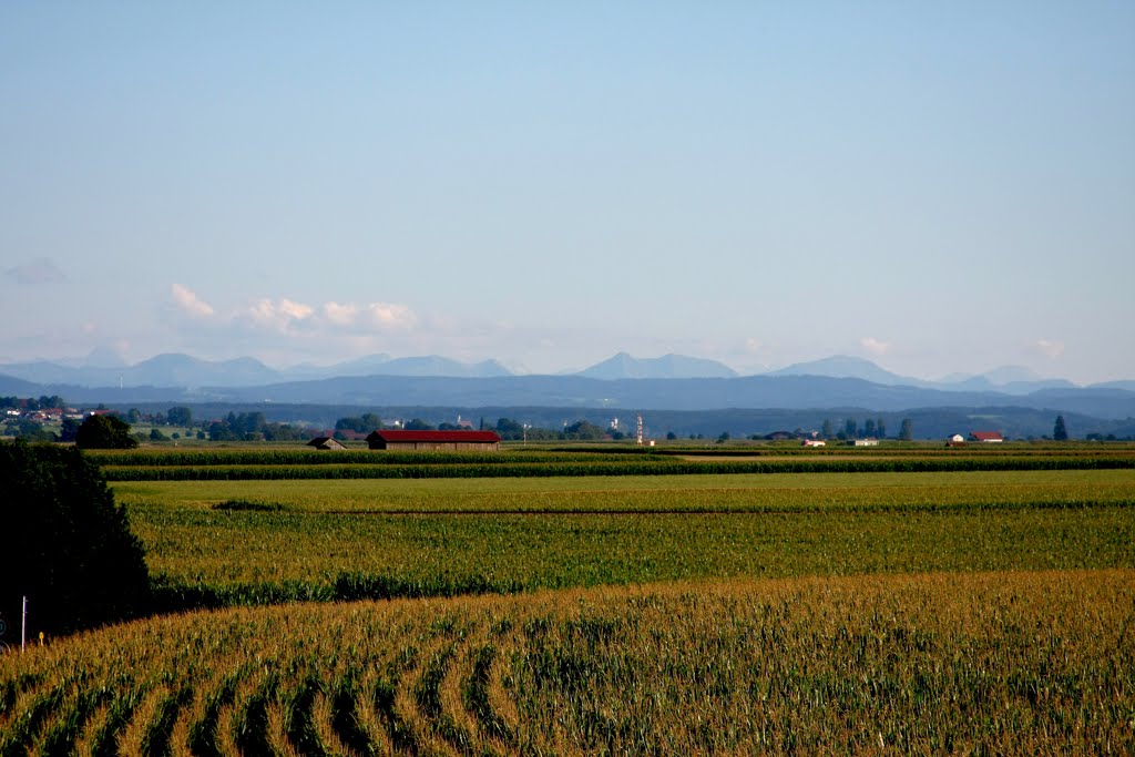 Allgäuer Alpen by Max757