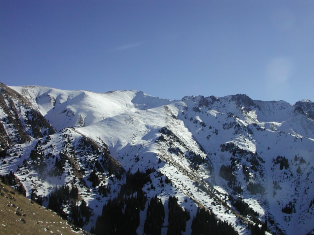 to north of medio at 2400m by taskazak