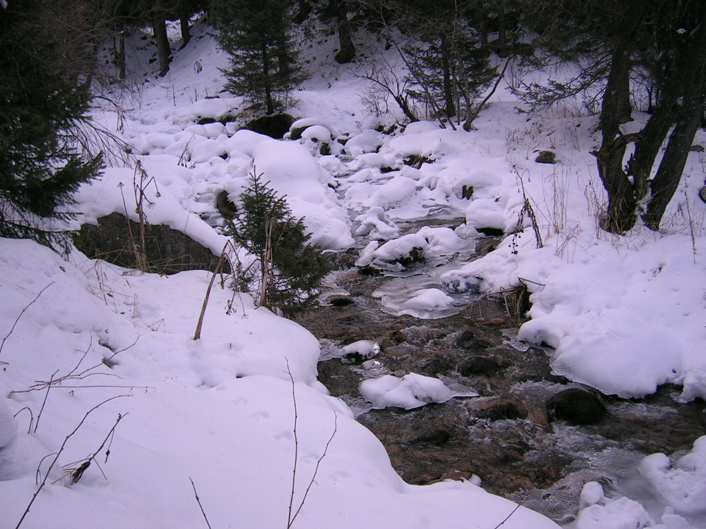 mtn stream near Kumbel hotel just out of Almaty by taskazak