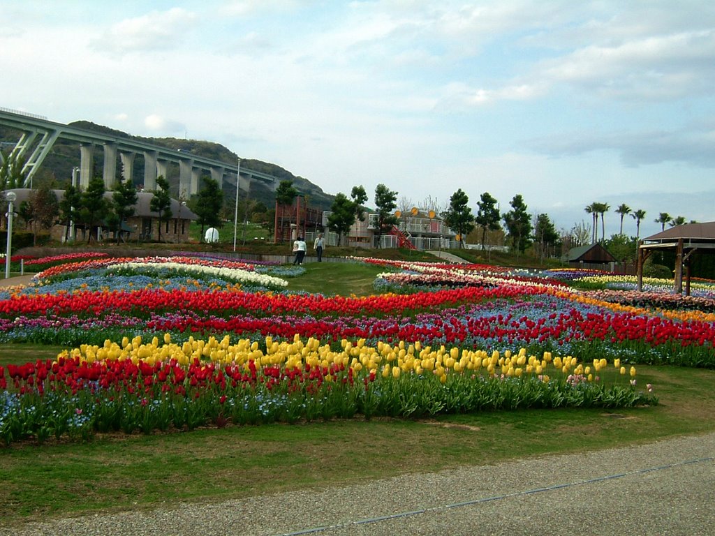 Awaji island "yuehana" flower park - 夢花公園 by WorksK