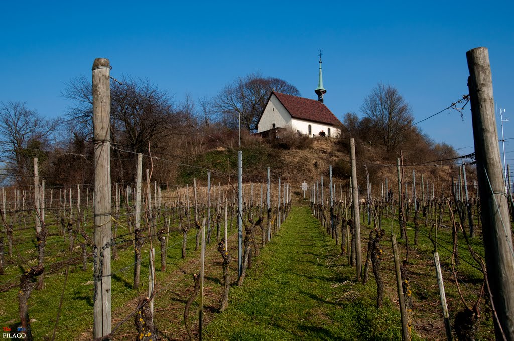 Freiburg-Munzingen - Erentrudiskapelle ¦ by pilago by pilago