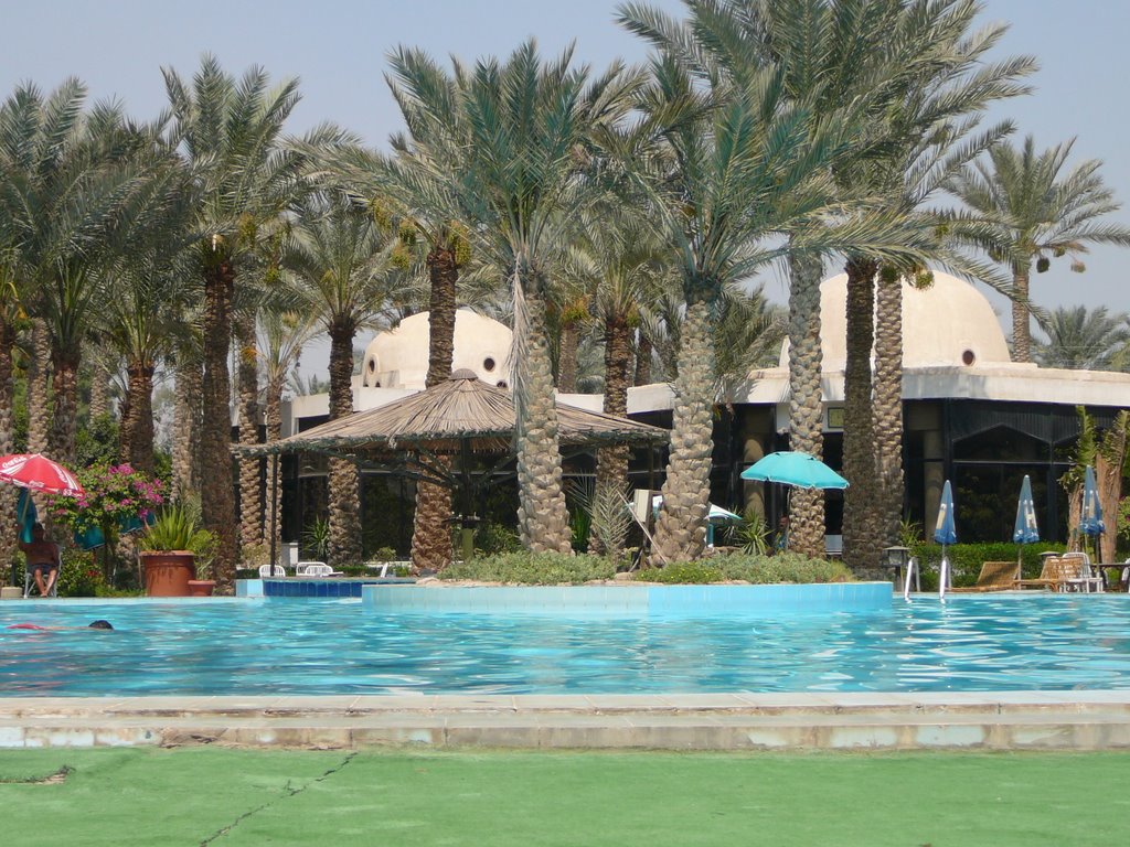 Palm Club in Saqqara by Sorvaamo