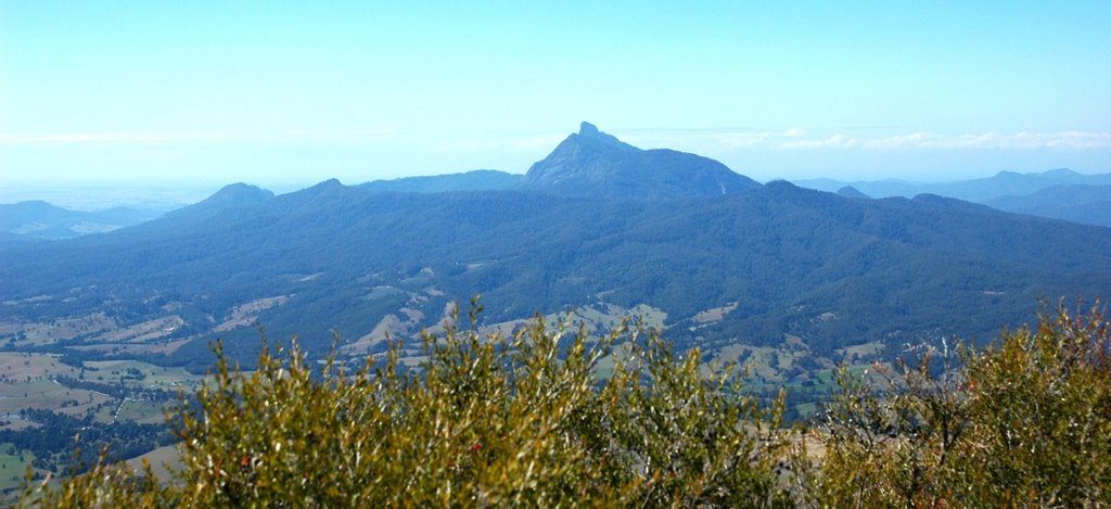 Mt Warning seen from the tip of the Pinnacle by sv1