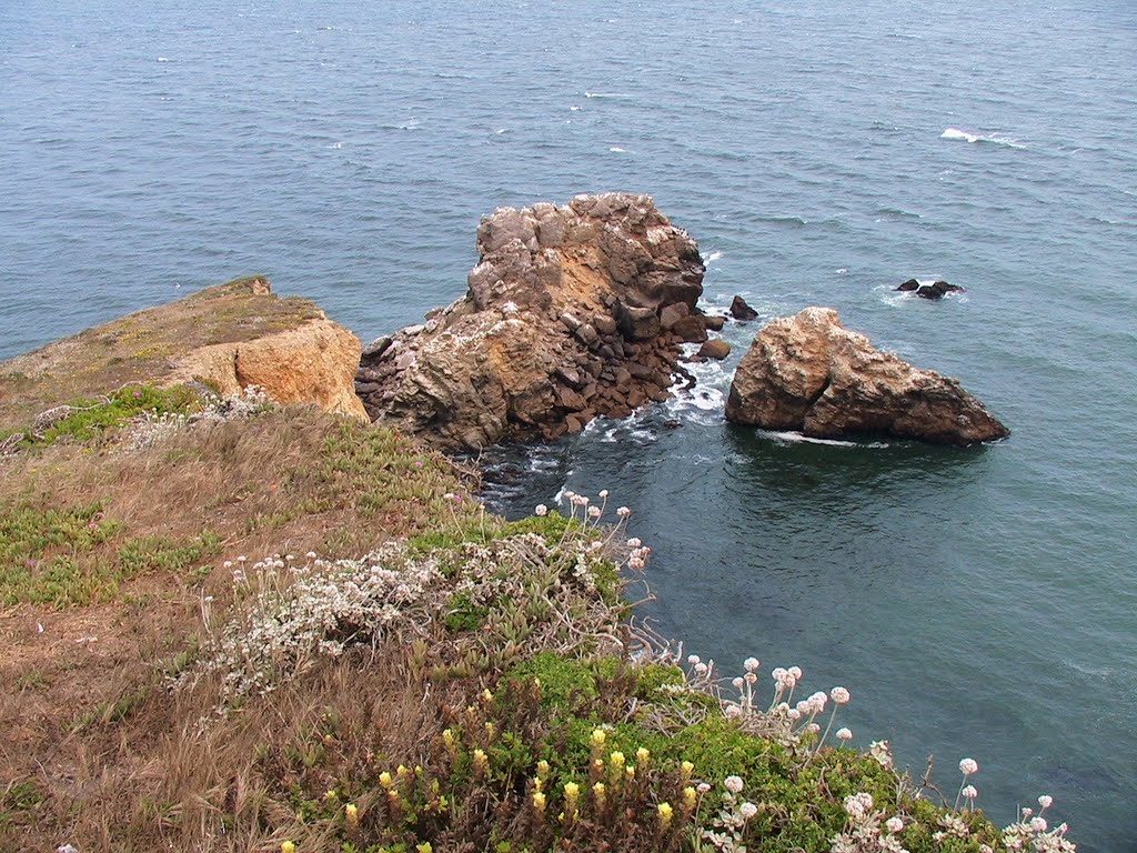 California - Point Reyes National Seashore - Chimney Rock by Maurizio Giove