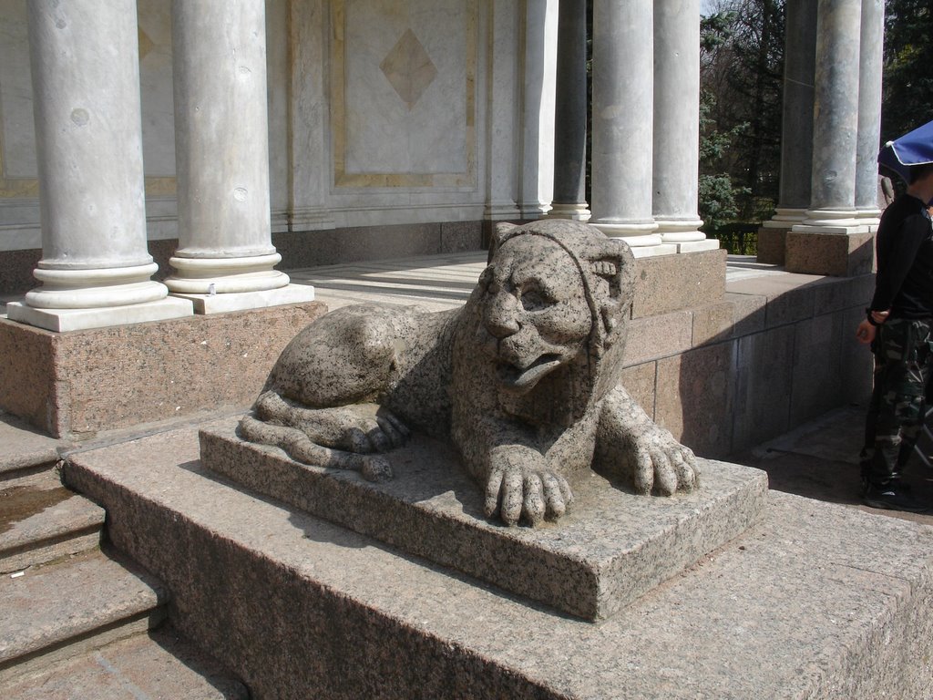 Stone Lion by Dmitry Rostopshin ww…