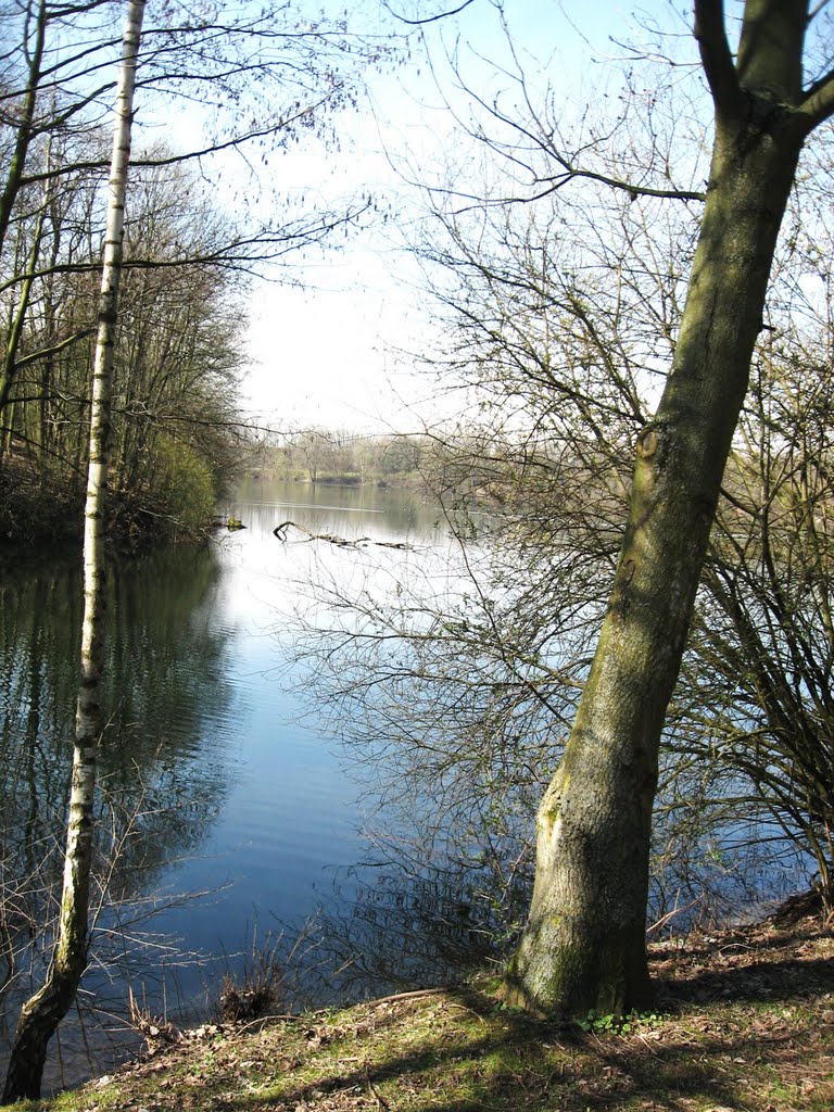 Baumbestand am Seerand .. Duisburg Homberg Uettelsheimer See by eichhörnchen