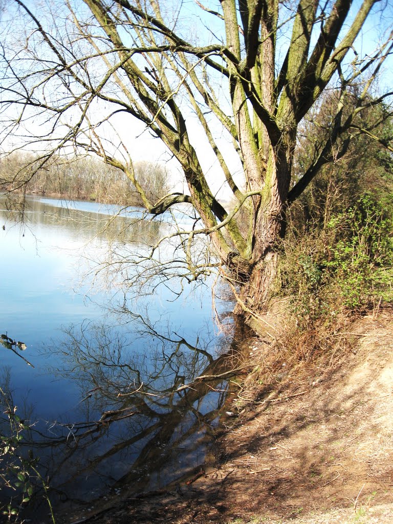 Am Uettelsheimer See in Duisburg Homberg by eichhörnchen