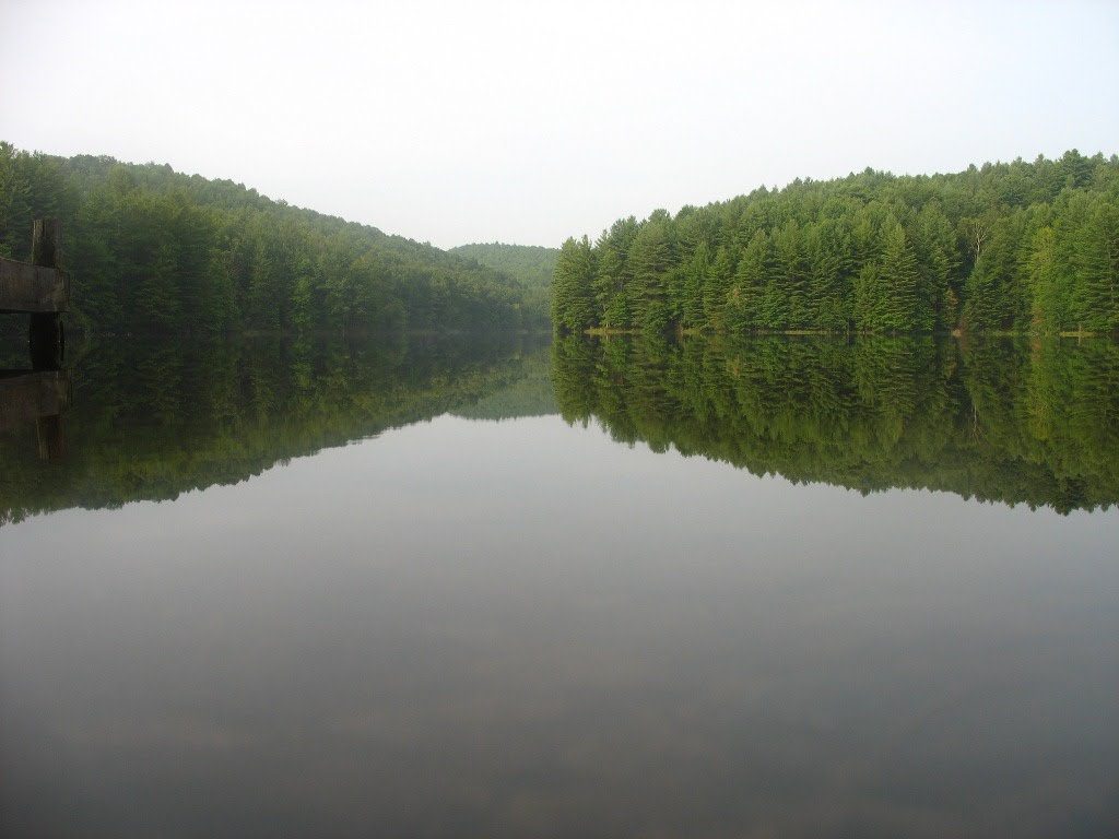 Lake Julia, Dupont State Forest, NC by Wild Panoramic