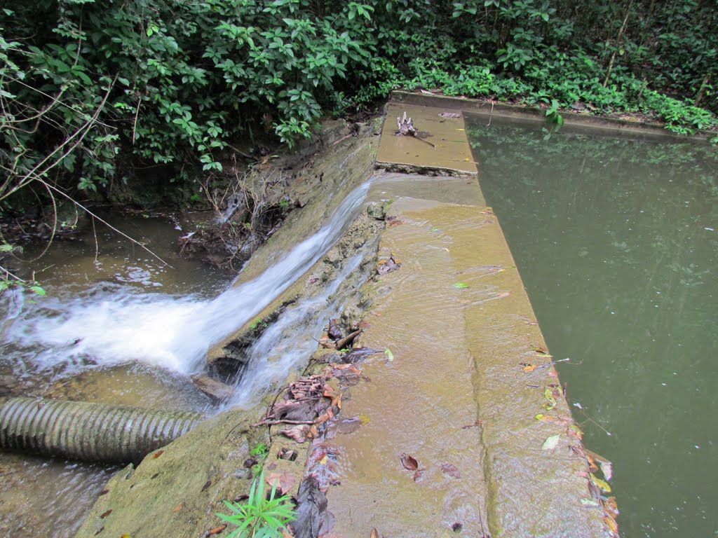 Piscina Natural, Río Arriba by putuado84