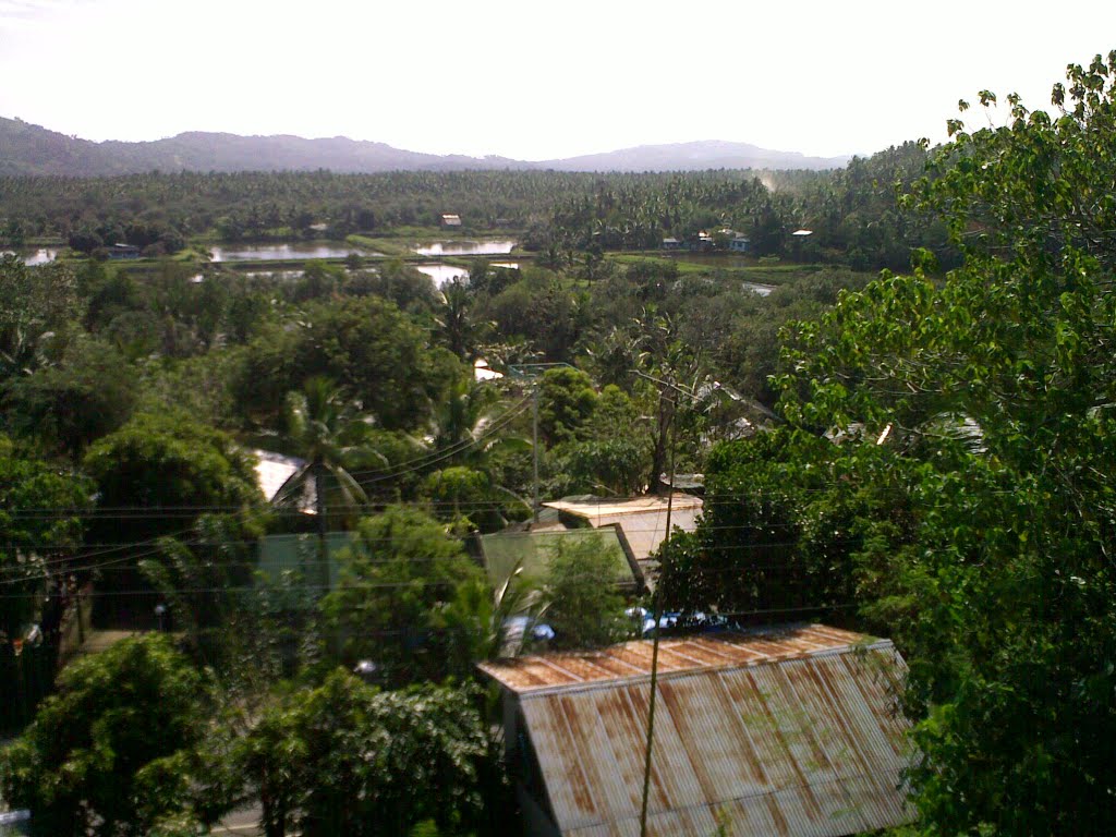 Viewing the BFAR Mobo Fish Demonstration Farm and Nursery by bascug