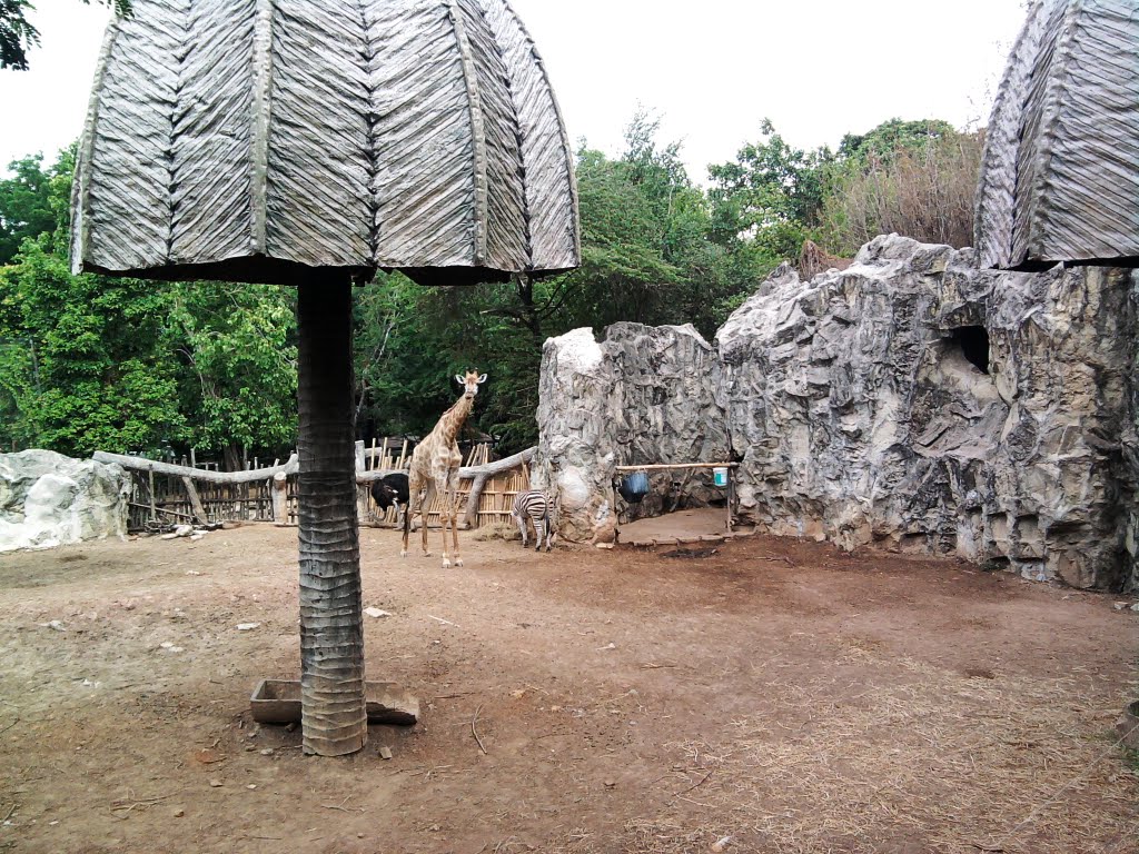 Giraffe cage. by iBomZ