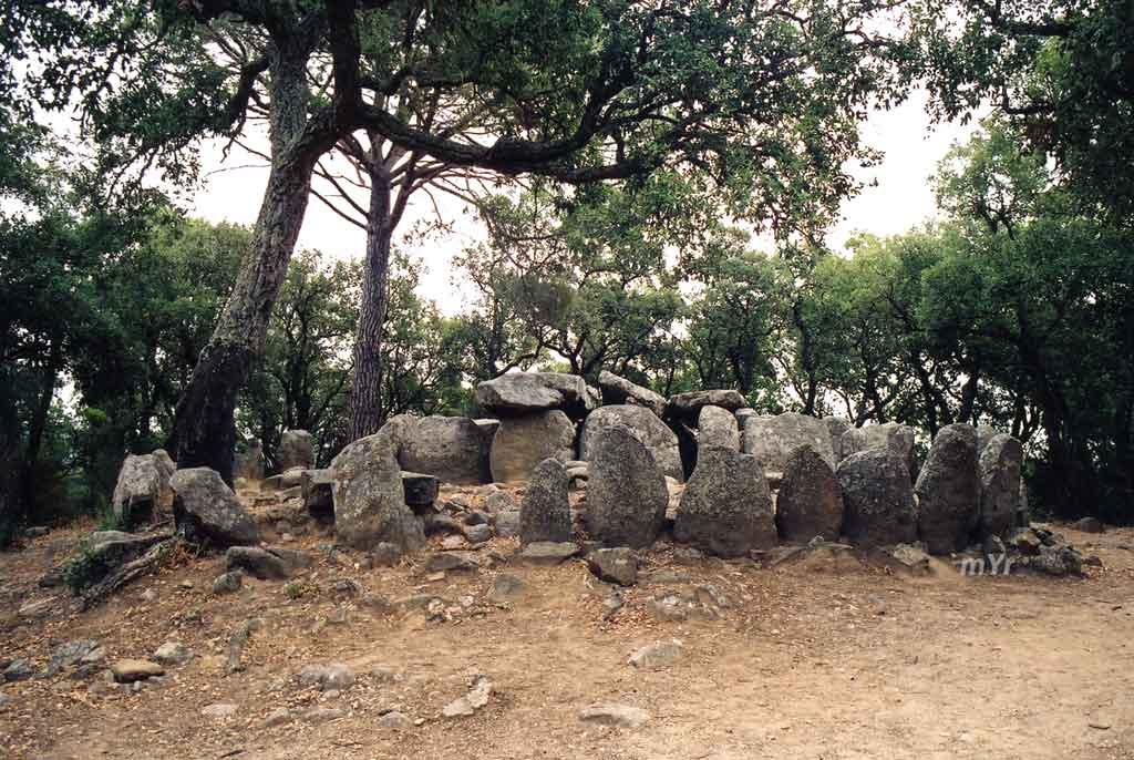 Dolmen Cova d'en Daina-Romanyá de la Selva-Girona by mYr