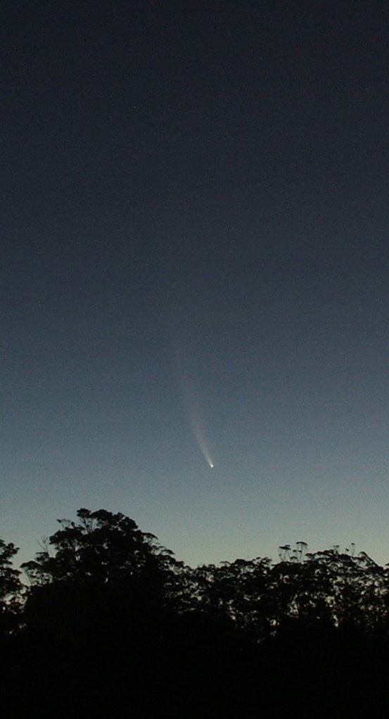 Comet McNaught by Anthony 851