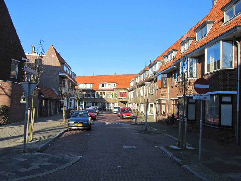 Delft, 19 march 2011, Caspar Fagelstraat vanaf het Westplantsoen by Aad (A.F.) Huf