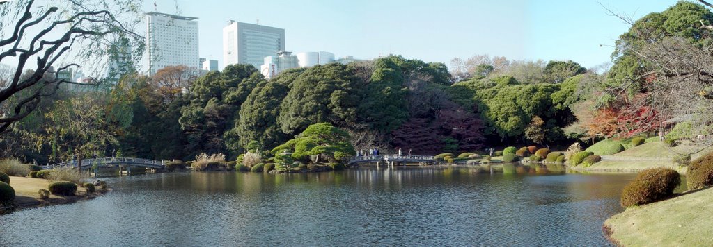 Shinjuku_park_panorama by pinkopallino