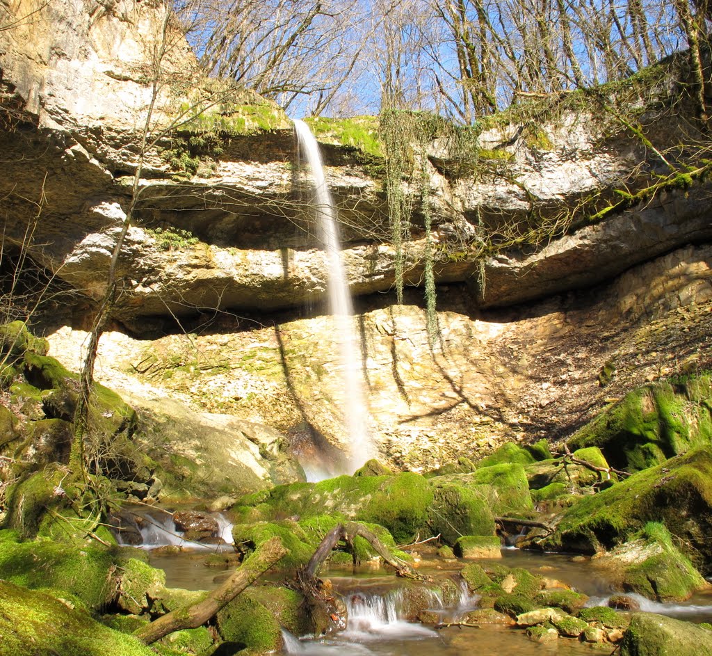 Saules : saut de la Brême au printemps by JGS25