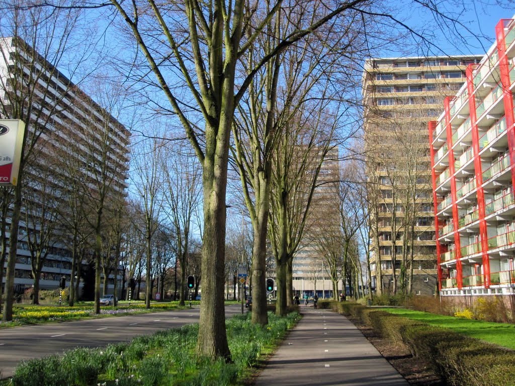 Delft, 19 march 2011, Voorhofdreef richting het Delflandplein by Aad (A.F.) Huf