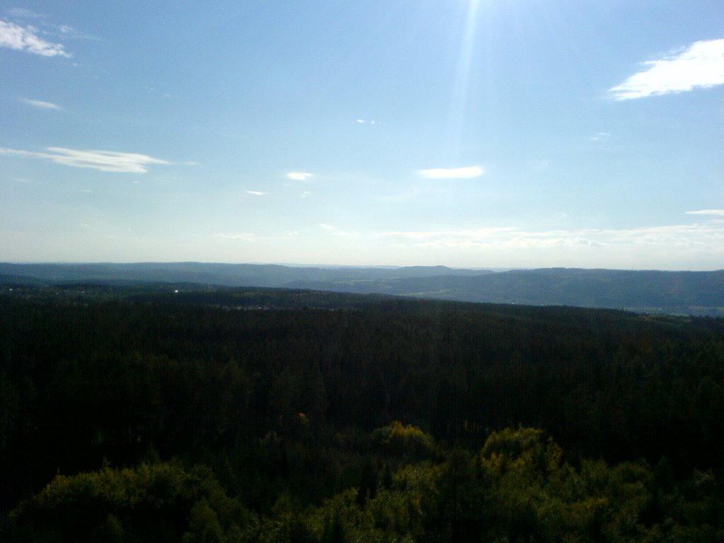 Lookout tower " Podvrší u Veselice" by Pavel Šmíd