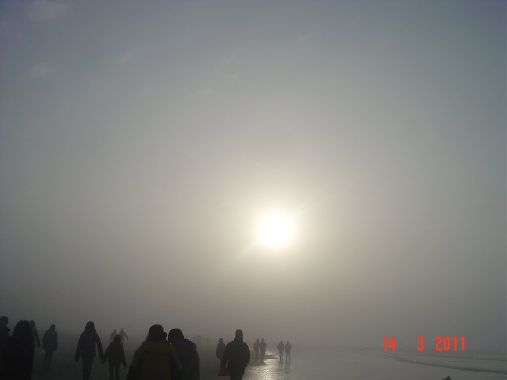 Am Strand im Nebel by MamatkulovSkachkova