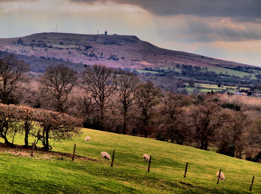 Clee Hill by Tim Gardner