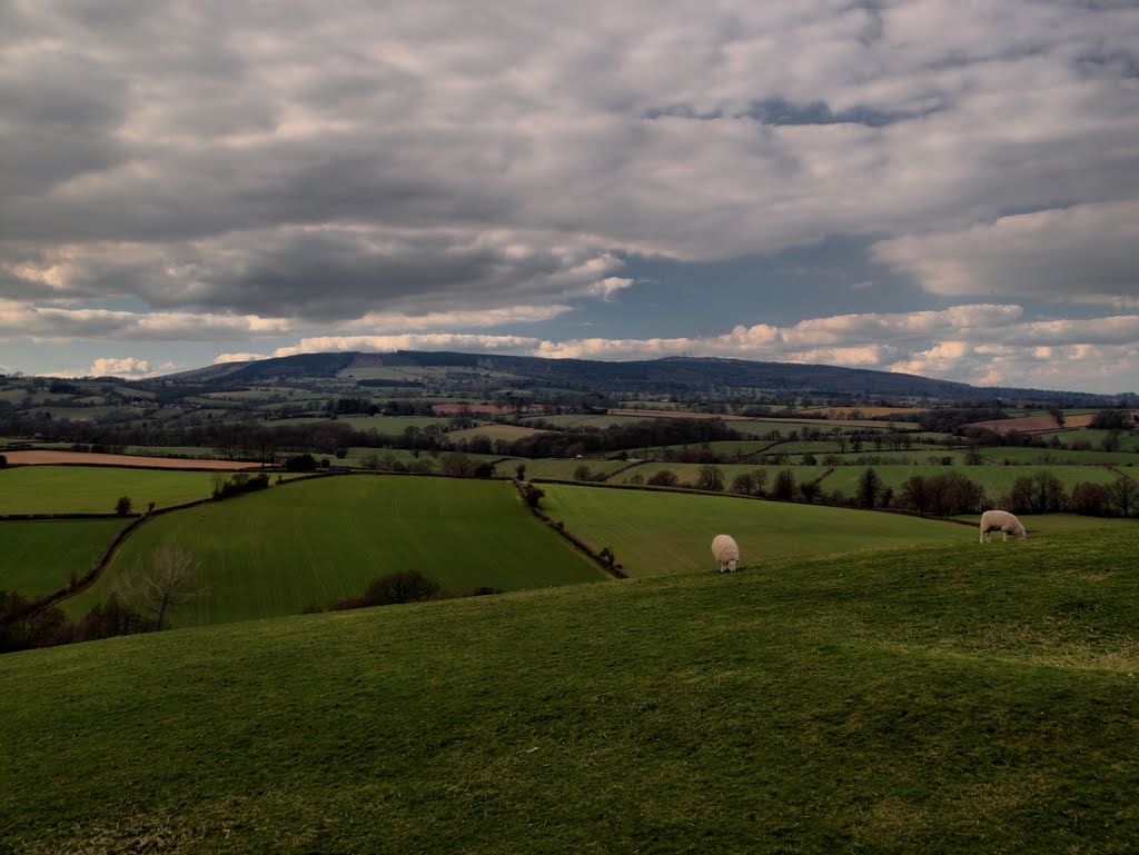 Brown Clee Hill by Tim Gardner