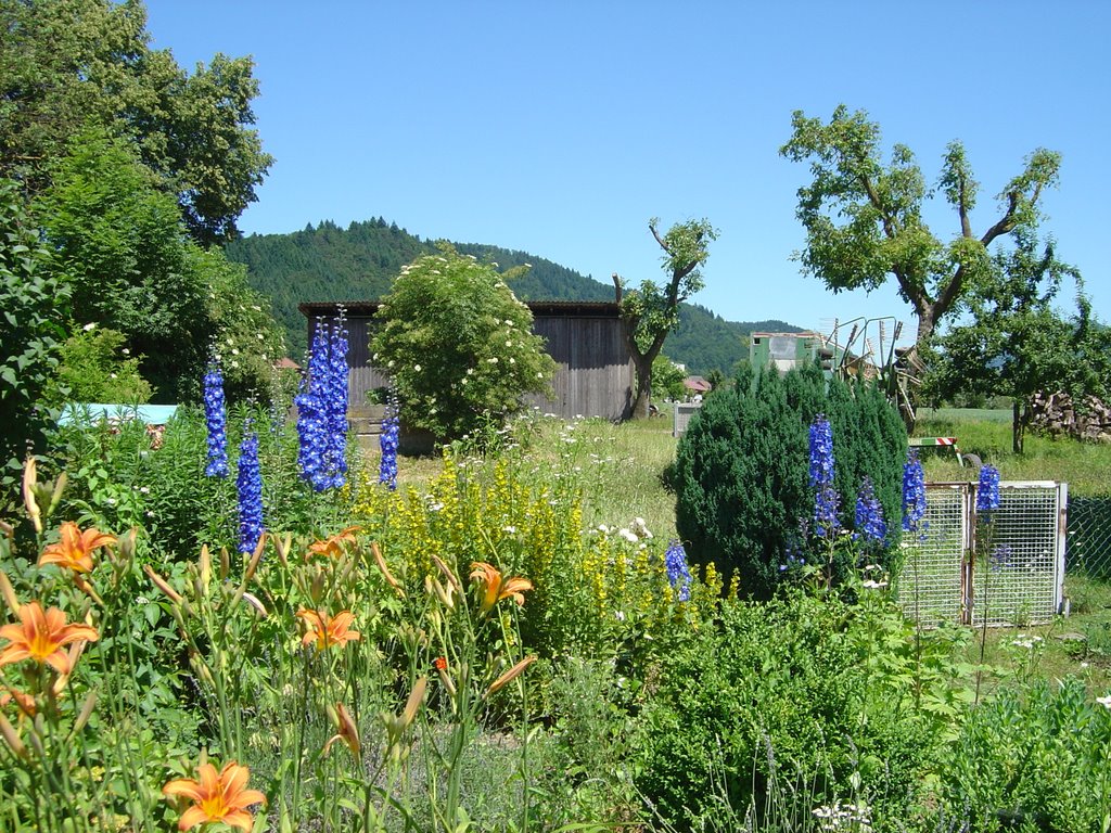 Garten Mühlenweg Buchholz by sboe_3