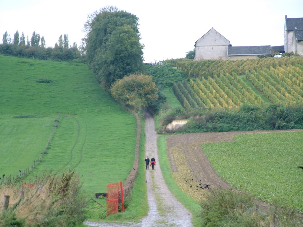 Sunday walk by petervanbruggen